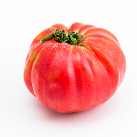 Tomate coeur de boeuf