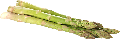 Asperge